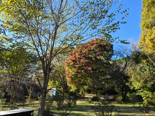 まだまだ残暑キャンプ 旧洗心館キャンプ場 ソロキャンプ 区画サイト 中年ソロキャンオヤジさんのキャンプブログ CAMPiii（キャンピー） -キャンプ専用SNS キャンプのすべてがここに集まる-