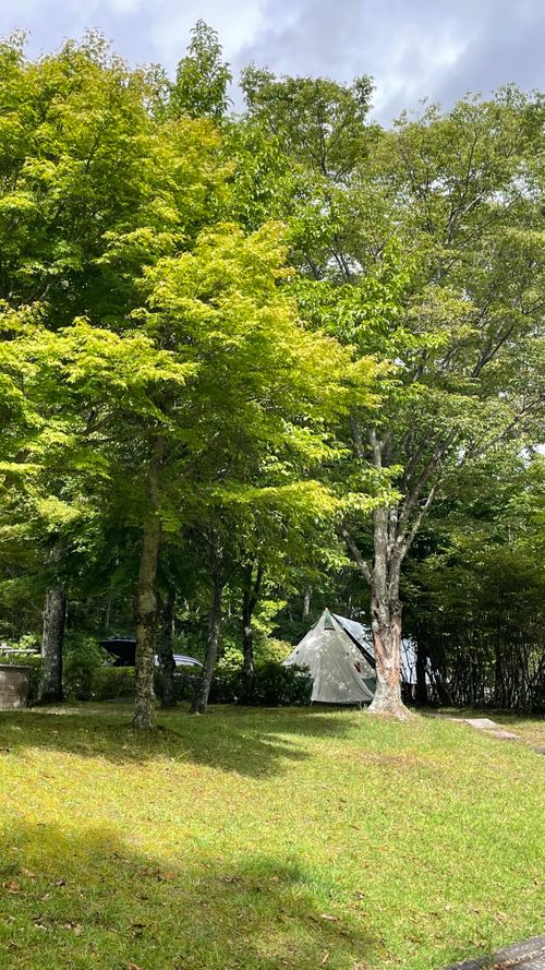 福岡最近の避暑地と言えばここ くじゅうやまなみキャンプ村 ファミリーキャンプ 区画サイト フォレキャンさんのキャンプブログ CAMPiii（キャンピー） -キャンプ専用SNS キャンプのすべてがここに集まる-