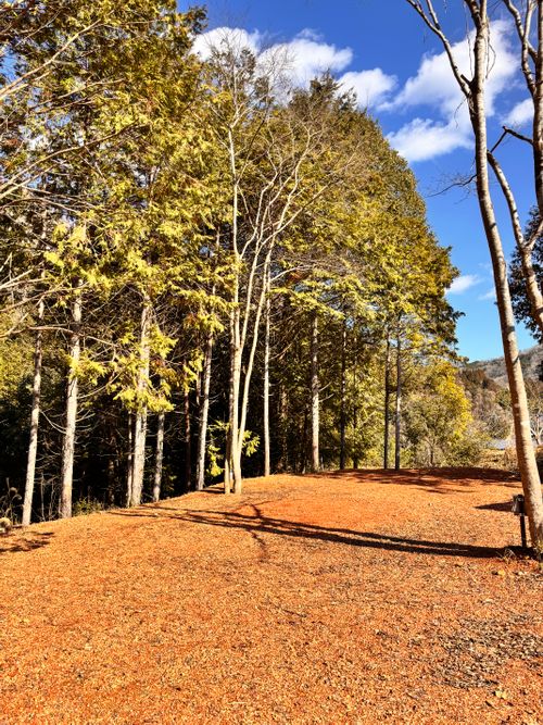 あけまして2026。 KAWAI VILLAGE CAMP グループキャンプ 区画サイト オートサイト あやぴーさんのキャンプブログ CAMPiii（キャンピー） -キャンプ専用SNS キャンプのすべてがここに集まる-