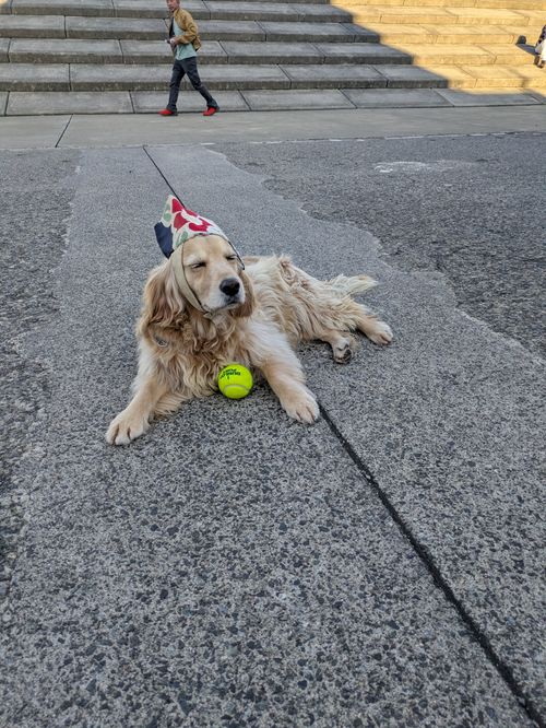 今夜もまたブギーバック トウシキキャンプ場(野営場)無料 グループキャンプ フリーサイト hachi329さんのキャンプブログ CAMPiii（キャンピー） -キャンプ専用SNS キャンプのすべてがここに集まる-