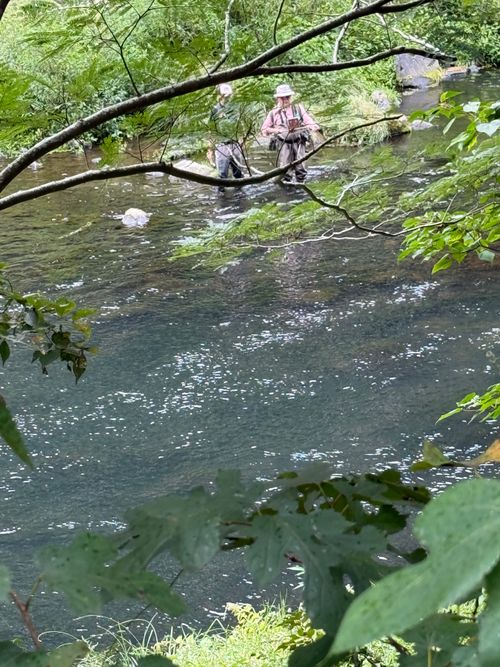 半年ぶりのキャンプ予習🏕️笑笑 のとろ原キャンプ場 ソロキャンプ 区画サイト まーくんさんのキャンプブログ CAMPiii（キャンピー） -キャンプ専用SNS キャンプのすべてがここに集まる-