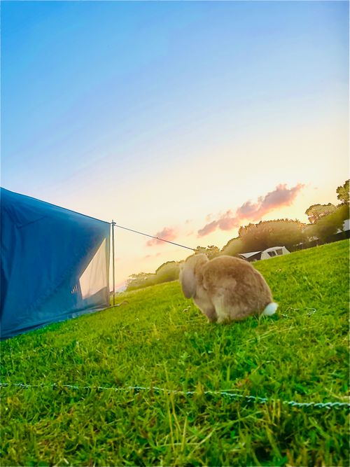ようやく念願の&hellip;遺跡眺望おじおば🐰キャン△ in スノーピーク吉野ヶ里キャンプフィールド 〜 CAMP NO.196 ファミリーキャンプ グループキャンプ フリーサイト おじキャン△さんのキャンプブログ CAMPiii（キャンピー） -キャンプ専用SNS キャンプのすべてがここに集まる-