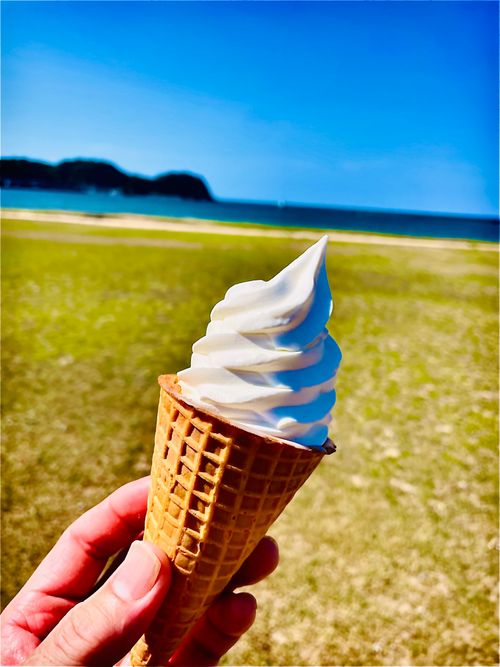 夏キャンプもそろそろ終わり？お盆明けのまた〜りおじ🐰キャン△ in 阿川ほうせんぐり海浜公園 〜 CAMP NO.208 阿川ほうせんぐり海浜公園 ソロキャンプ ファミリーキャンプ フリーサイト おじキャン△さんのキャンプブログ CAMPiii（キャンピー） -キャンプ専用SNS キャンプのすべてがここに集まる-