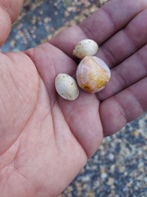 いきなり電車乗り遅れ💦 One and…Nanmoku Another BASE ソロキャンプ 区画サイト ひろ16さんのキャンプブログ CAMPiii（キャンピー） -キャンプ専用SNS キャンプのすべてがここに集まる-