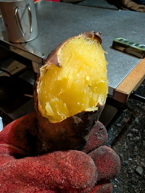 今日はマルエフな気分(^^) 岩倉ファームパークキャンプ場 ソロキャンプ フリーサイト ともっちさんのキャンプブログ CAMPiii（キャンピー） -キャンプ専用SNS キャンプのすべてがここに集まる-