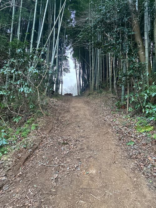 🎊新規キャンプ場オープン🎉🎉🎉 紫星の森 Oniyomeさんのキャンプブログ CAMPiii（キャンピー） -キャンプ専用SNS キャンプのすべてがここに集まる-