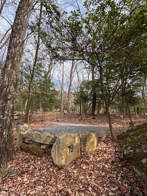 新年明けまして遅ようございます 杜のテラス ソロキャンプ 区画サイト とのさんのキャンプブログ CAMPiii（キャンピー） -キャンプ専用SNS キャンプのすべてがここに集まる-