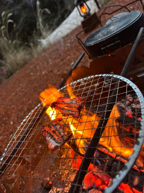 きのこ🍄だからって，決してシモネタではございません ぼくのキャンプ場はなれ ソロキャンプ オートサイト とのさんのキャンプブログ CAMPiii（キャンピー） -キャンプ専用SNS キャンプのすべてがここに集まる-