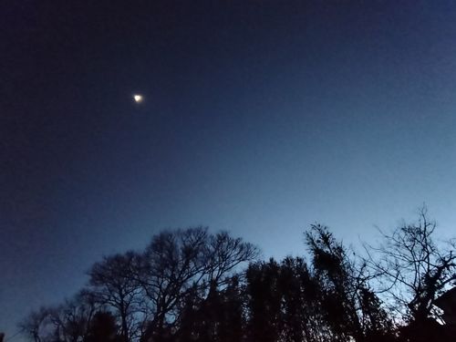 2025年キャンプ納めは浜キャン 浜オートキャンプ場 ソロキャンプ グループキャンプ 区画サイト オートサイト たかたかぽんたさんのキャンプブログ CAMPiii（キャンピー） -キャンプ専用SNS キャンプのすべてがここに集まる-