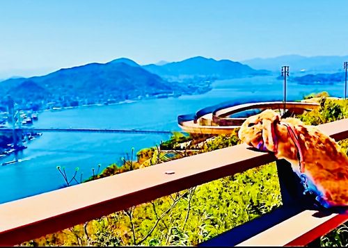 桜🌸を諦めきれないおばちゃんの付き添いおじおばうさキャン△ in 深坂自然の森キャンプ場 〜 CAMP NO.184 深坂自然の森キャンプ場 ファミリーキャンプ グループキャンプ 区画サイト おじキャン△さんのキャンプブログ CAMPiii（キャンピー） -キャンプ専用SNS キャンプのすべてがここに集まる-