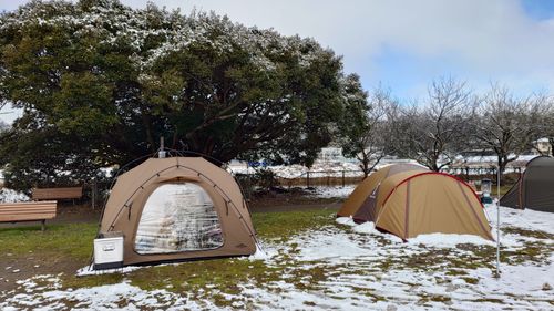 思いがけない雪中キャンプ！ UJackむつざわオートキャンプ場（泊地） ソロキャンプ グループキャンプ 区画サイト まーささんのキャンプブログ CAMPiii（キャンピー） -キャンプ専用SNS キャンプのすべてがここに集まる-