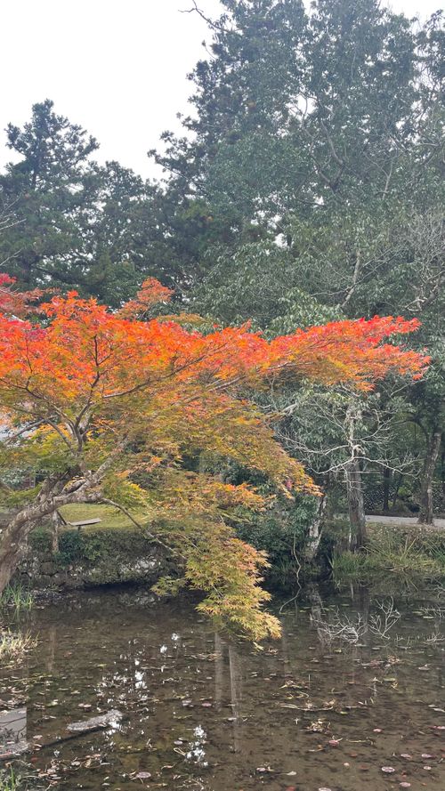 お伊勢参りキャンプ 神岳テラス ファミリーキャンプ 区画サイト フォレキャンさんのキャンプブログ CAMPiii（キャンピー） -キャンプ専用SNS キャンプのすべてがここに集まる-