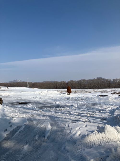 つどいの館2日目！ つどいの館 キャンプ場 ソロキャンプ フリーサイト オートサイト siroさんのキャンプブログ CAMPiii（キャンピー） -キャンプ専用SNS キャンプのすべてがここに集まる-