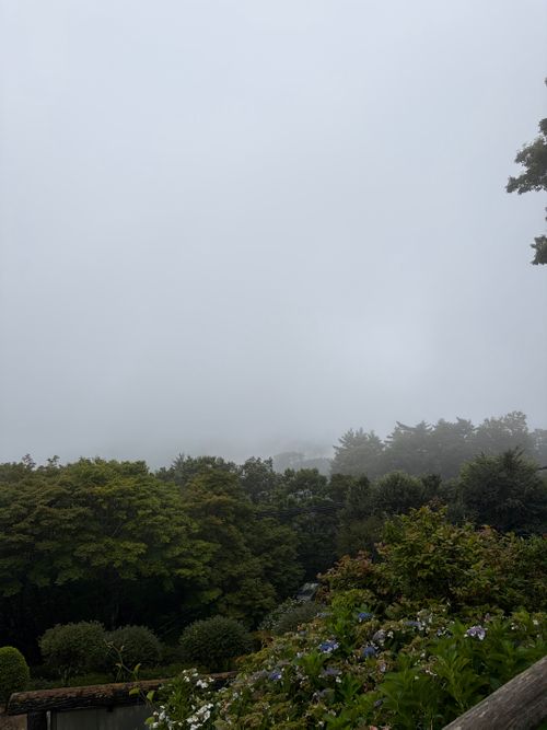 夏は避暑地でキャンプに限る 大川山キャンプ場 ソロキャンプ 区画サイト ゆうさんさんのキャンプブログ CAMPiii（キャンピー） -キャンプ専用SNS キャンプのすべてがここに集まる-
