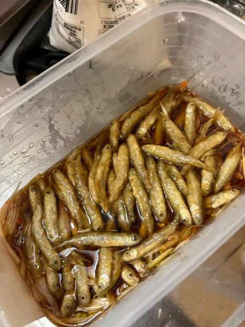 第87話　　ワカサギ釣りしてきた！キャンプはしてない 群馬県 ソロキャンプ ちろ犬さんのキャンプブログ CAMPiii（キャンピー） -キャンプ専用SNS キャンプのすべてがここに集まる-