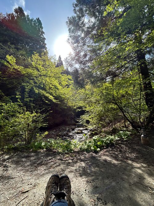 久しぶりのソロキャンプ🏕️ 道志の森キャンプ場 ソロキャンプ フリーサイト Genさんのキャンプブログ CAMPiii（キャンピー） -キャンプ専用SNS キャンプのすべてがここに集まる-