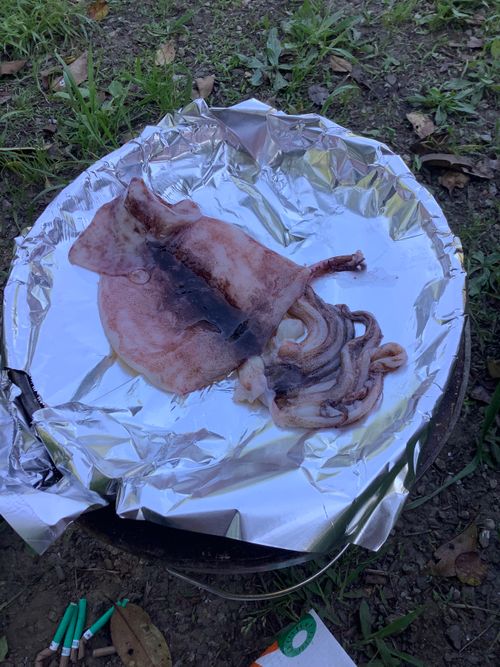 Vol.116 26/NO.06　いつもの場所にお肉焼きに行くと‼️ 坂戸市 ソロキャンプ フリーサイト 🔥焚き火🔥さんのキャンプブログ CAMPiii（キャンピー） -キャンプ専用SNS キャンプのすべてがここに集まる-