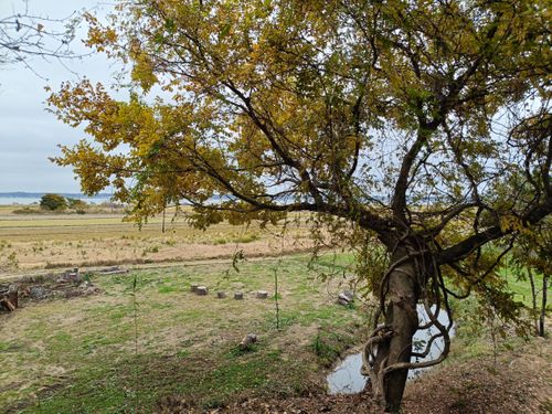 CAMPiii(キャンピー) Kazu Aさんのキャンプブログ 第3陣は忘れ物祭り りょっちゃんの秘密基地