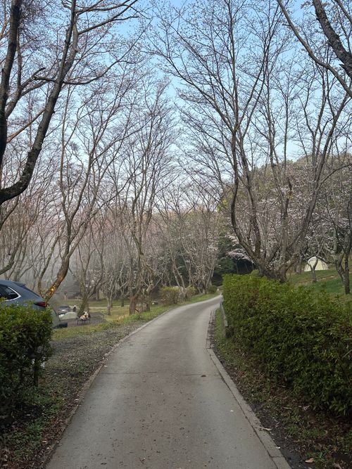 柏　手賀の丘公園キャンプ 手賀の丘公園 グループキャンプ ken-Tさんのキャンプブログ CAMPiii（キャンピー） -キャンプ専用SNS キャンプのすべてがここに集まる-