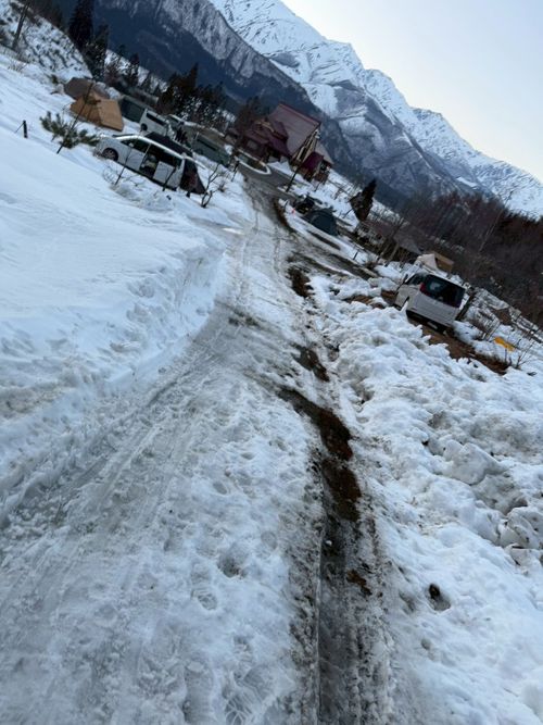 脚下照顧（きゃっかしょうこ）雪中キャンプ🏔🏕@前編 白馬森のわさび農園（オートキャンプ場併設） ファミリーキャンプ オートサイト ぐうたら夫婦さんのキャンプブログ CAMPiii（キャンピー） -キャンプ専用SNS キャンプのすべてがここに集まる-
