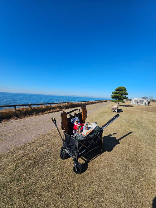 俺のあそびฅ(o&lsquo;ⓛ&rsquo;o)ฅ   なめキャン⛺ 天王崎公園 ソロキャンプ フリーサイト くまくまさんのキャンプブログ CAMPiii（キャンピー） -キャンプ専用SNS キャンプのすべてがここに集まる-