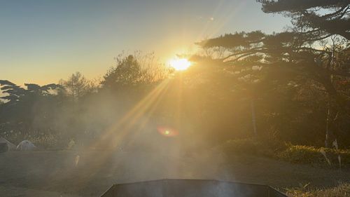 1年ぶりのこの地 陣馬形山キャンプ場 ソロキャンプ 区画サイト まっつんさんのキャンプブログ CAMPiii（キャンピー） -キャンプ専用SNS キャンプのすべてがここに集まる-