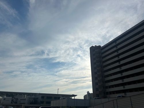 早朝SUP & 樹海ハイク🥾  本栖湖いこいの森キャンプ場 ソロキャンプ グループキャンプ 区画サイト Genさんのキャンプブログ CAMPiii（キャンピー） -キャンプ専用SNS キャンプのすべてがここに集まる-