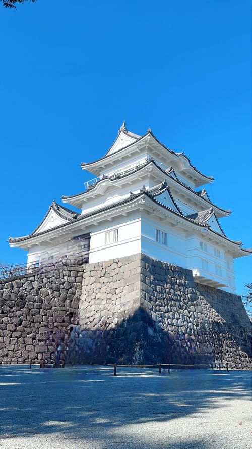 強風🌬️を振り返る 小田原市いこいの森 RECAMP おだわら ソロキャンプ 区画サイト kana_haruさんのキャンプブログ CAMPiii（キャンピー） -キャンプ専用SNS キャンプのすべてがここに集まる-