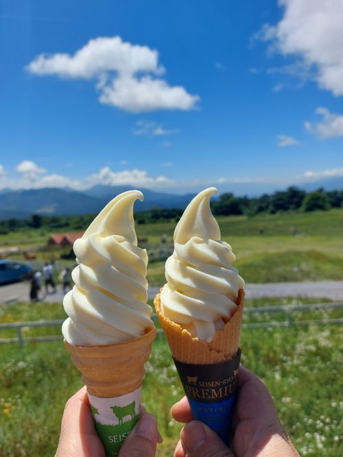 爽やかな風〜 清里中央オートキャンプ場 ファミリーキャンプ 区画サイト こば  さんのキャンプブログ CAMPiii（キャンピー） -キャンプ専用SNS キャンプのすべてがここに集まる-