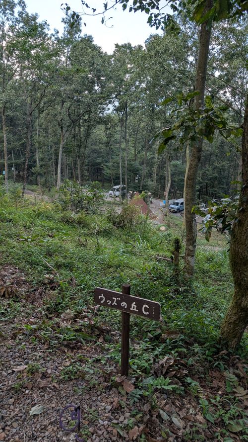 クワガタ探しにクヌギの森へ🌲 CAMP×WOODS ファミリーキャンプ 区画サイト オートサイト ヒゲキャンさんのキャンプブログ CAMPiii（キャンピー） -キャンプ専用SNS キャンプのすべてがここに集まる-
