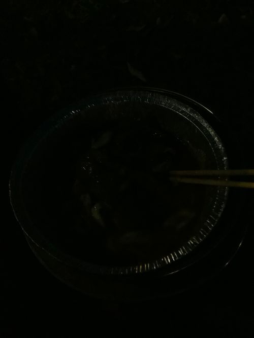 Vol.104 25/NO.23　いつもの場所でお肉焼く‼️ 坂戸市 ソロキャンプ フリーサイト 🔥焚き火🔥さんのキャンプブログ CAMPiii（キャンピー） -キャンプ専用SNS キャンプのすべてがここに集まる-