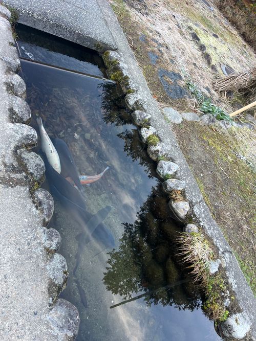 あれ⁈こないだ来たよーな… 閑乗寺公園 キャンプ場 グループキャンプ ソロキャンプ ファミリーキャンプ フリーサイト まっつんさんのキャンプブログ CAMPiii（キャンピー） -キャンプ専用SNS キャンプのすべてがここに集まる-