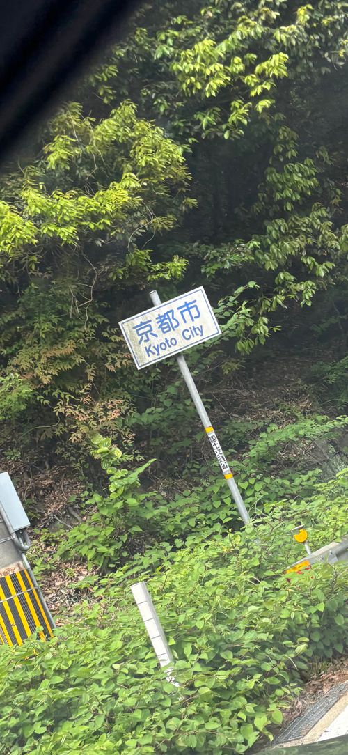 サーカスってホントいいテント⛺️できれば袋にゆとりが欲しい 星の草原キャンプ場 グループキャンプ フリーサイト とのさんのキャンプブログ CAMPiii（キャンピー） -キャンプ専用SNS キャンプのすべてがここに集まる-