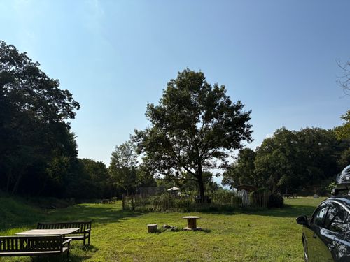 夏休みの思い出に🌻 ちえの森 ［愛楽友ふぁーむ］ ファミリーキャンプ 区画サイト camping roll♪さんのキャンプブログ CAMPiii（キャンピー） -キャンプ専用SNS キャンプのすべてがここに集まる-