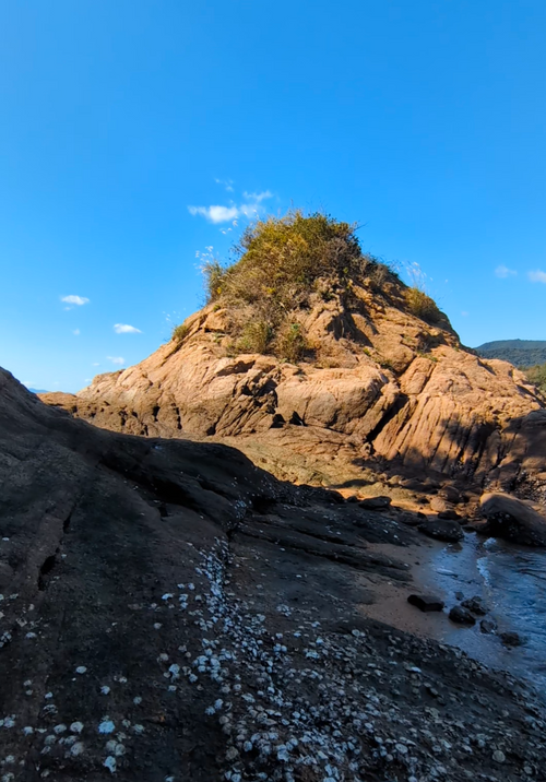 無人島にカヤックで渡ってみたキャンプ🏕 ホシアカリ 波うち 区画サイト NATSUさんのキャンプブログ CAMPiii（キャンピー） -キャンプ専用SNS キャンプのすべてがここに集まる-