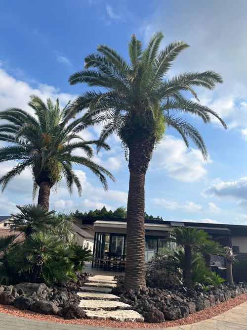 ここは、日本ですか😳✨✨？        🌴🌴🌴南国🏝️リゾートおしゃれ空間✨✨素敵すぎた群馬アカツキキャンプヴィレッジ⛺️ Akatsuki village ファミリーキャンプ 区画サイト Izumiさんのキャンプブログ CAMPiii（キャンピー） -キャンプ専用SNS キャンプのすべてがここに集まる-