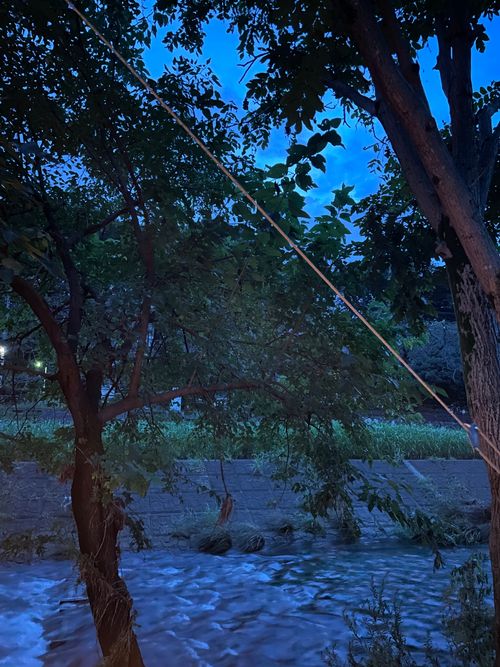 原点回帰、清瀬徒歩キャン 清瀬金山緑地公園河原 ソロキャンプ フリーサイト もるがんさんのキャンプブログ CAMPiii(キャンピー) -キャンプ専用SNS キャンプのすべてがここに集まる-