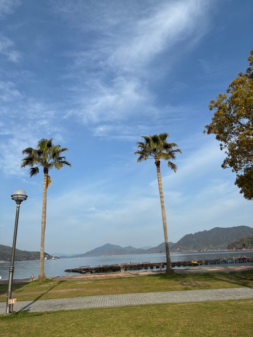 2026年5回目、イルカキャン🐬 ドルフィンファームしまなみ ファミリーキャンプ 区画サイト オートサイト わいげさんのキャンプブログ CAMPiii（キャンピー） -キャンプ専用SNS キャンプのすべてがここに集まる-