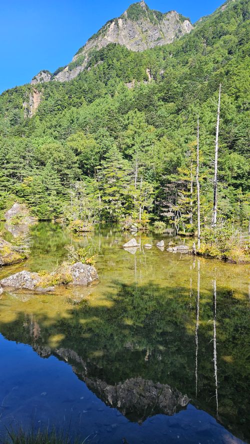 霧ヶ峰~金峰山~上高地 長野県 ソロキャンプ グループキャンプ 区画サイト オートサイト フリーサイト IZUIZUさんのキャンプブログ CAMPiii(キャンピー) -キャンプ専用SNS キャンプのすべてがここに集まる-
