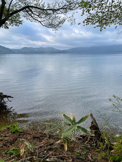 雨の田沢湖とエメラルドグリーンの秋扇湖と 田沢湖オートキャンプ場縄文の森たざわこ ファミリーキャンプ 区画サイト ロコCamp0828さんのキャンプブログ CAMPiii（キャンピー） -キャンプ専用SNS キャンプのすべてがここに集まる-