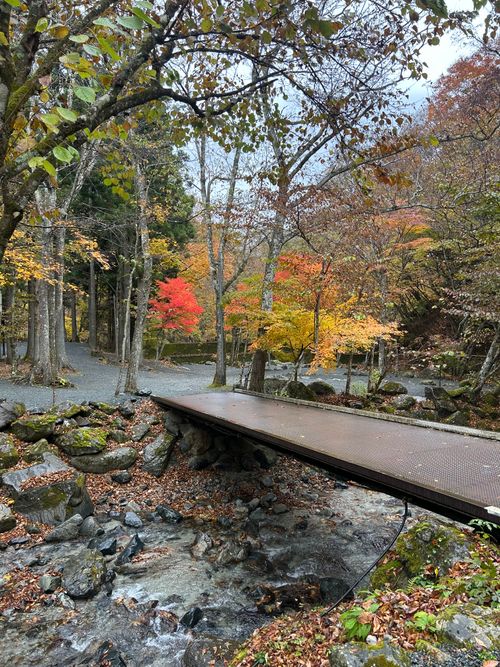 紅葉🍁キャンプ 山伏オートキャンプ場 ソロキャンプ グループキャンプ 区画サイト Genさんのキャンプブログ CAMPiii（キャンピー） -キャンプ専用SNS キャンプのすべてがここに集まる-