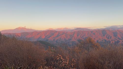 1年ぶりのこの地 陣馬形山キャンプ場 ソロキャンプ 区画サイト まっつんさんのキャンプブログ CAMPiii（キャンピー） -キャンプ専用SNS キャンプのすべてがここに集まる-