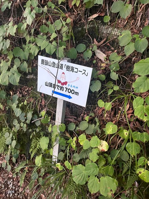 みちのく潮風トレイル 福島 相馬編 貸し切りができる小さなキャンプ場 beeto ソロキャンプ 区画サイト まっつんさんのキャンプブログ CAMPiii(キャンピー) -キャンプ専用SNS キャンプのすべてがここに集まる-