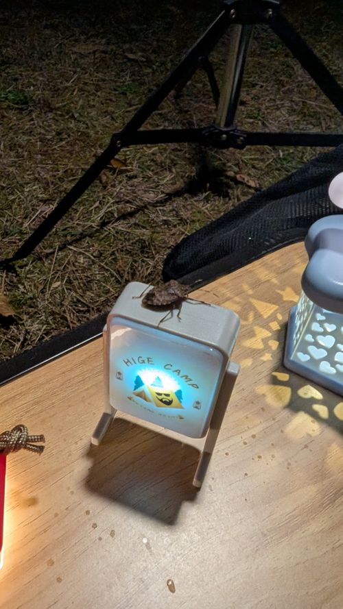 中国地方遠征キャンプ🏕️島根編 うさぎ森林公園 夢の森うさぎ ソロキャンプ 区画サイト オートサイト ヒゲキャンさんのキャンプブログ CAMPiii（キャンピー） -キャンプ専用SNS キャンプのすべてがここに集まる-