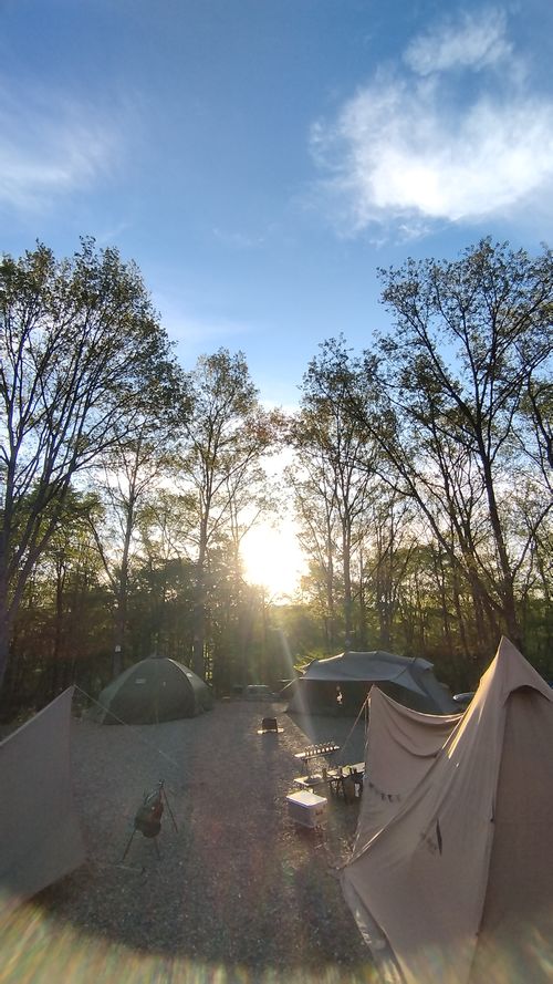 玉ねぎ王に、オレはなる！ CAMP&times;WOODS グループキャンプ 区画サイト スローライフに憧れるさんのキャンプブログ CAMPiii（キャンピー） -キャンプ専用SNS キャンプのすべてがここに集まる-