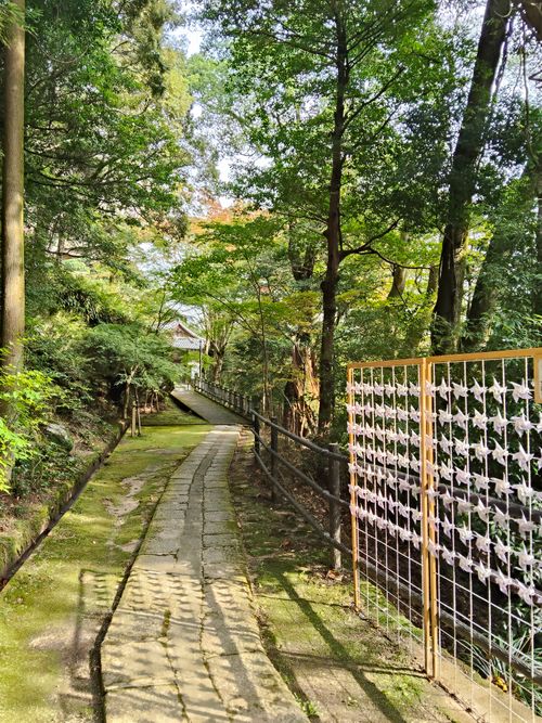 ちょっとハイク 笠置キャンプ場 ソロキャンプ フリーサイト おっとまんSさんのキャンプブログ CAMPiii（キャンピー） -キャンプ専用SNS キャンプのすべてがここに集まる-