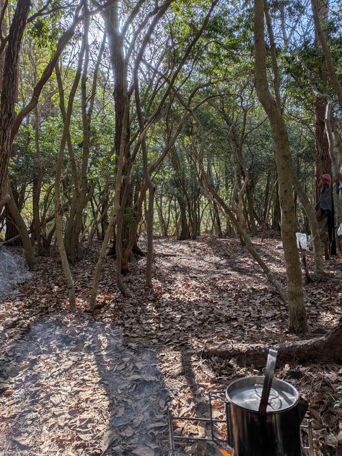 CAMPiii（キャンピー） アニさんのキャンプブログ 2026年　5泊目 PICA富士西湖