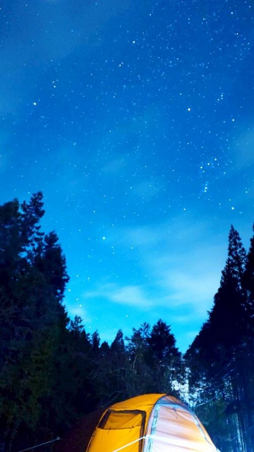 初の〝ソロぐる〟で今年最後の納めキャンプ てゆりキャンプ場 グループキャンプ フリーサイト まつけんさんのキャンプブログ CAMPiii（キャンピー） -キャンプ専用SNS キャンプのすべてがここに集まる-