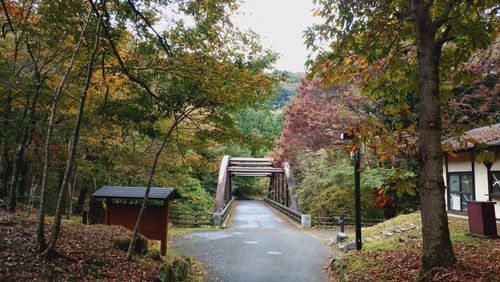 初東京エリア 山のふるさと村 キャンプ場 ソロキャンプ 区画サイト アークさんのキャンプブログ CAMPiii（キャンピー） -キャンプ専用SNS キャンプのすべてがここに集まる-