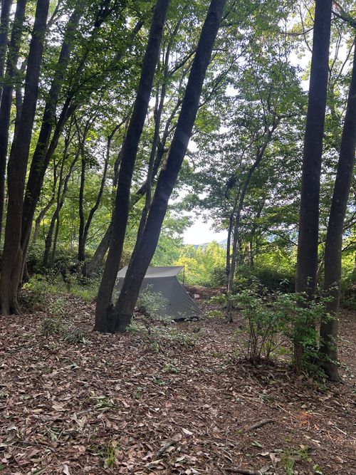 3週連続ソロキャンプ🏕️ CAMP BEAN ソロキャンプ 区画サイト Genさんのキャンプブログ CAMPiii（キャンピー） -キャンプ専用SNS キャンプのすべてがここに集まる-